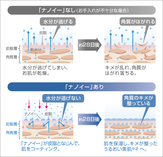 「ナノイー」なし（お手入れが不十分な場合）。水分が逃げてしまい、お肌が乾燥。約28日後キメが乱れ、角質がはがれ落ちる。「ナノイー」あり。「ナノイー」が皮脂となじんで、肌をコーティング。約28日後肌を保湿し、キメが整ったうるおい美肌※2へ。