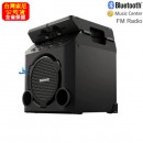 已完售,SONY GTK-PG10(公司貨):::適合室外派對的完美音效,無線藍牙喇叭,FM收音機,GTKPG10