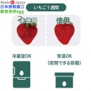 DOSHISHA GE1IV灰色(日本原裝):::日本製,鮮度保持蛋,蔬果保鮮蛋,刷卡或3期,4550283242032