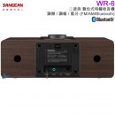 【金響電器】現貨,SANGEAN WR-6(公司貨):::二波段,數位式時鐘收音機,調頻,調幅,藍牙,FM,AM,Bluetooth,WR6