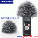OLYMPUS WJ1(日本國內款):::LS-10專用原廠防風罩,刷卡不加價或3期零利率,免運費商品,WJ-1
